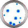 Regime Parameters (Cross Section) - Lean, Dilute Phase