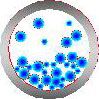 Regime Parameters (Cross Section) - Medium Phase