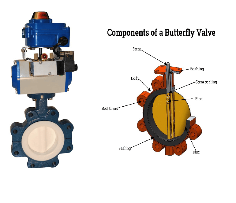 Butterfly Valve